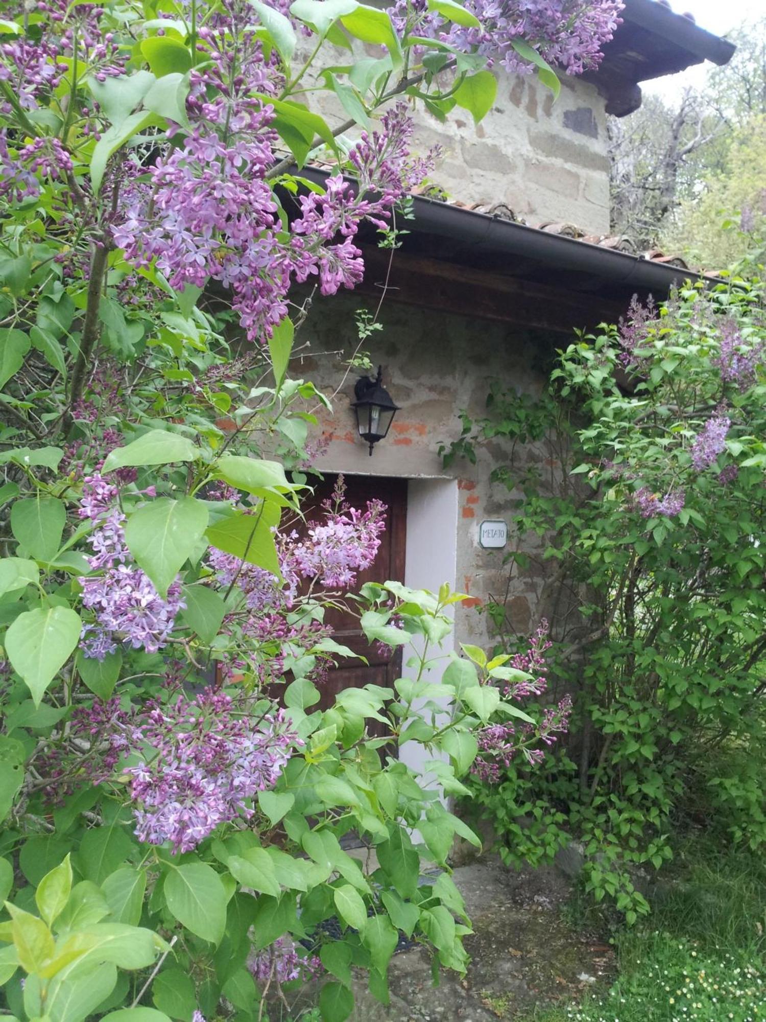 Fattoria Il Praticino - Metato Villa Castelfranco di Sopra Exterior foto