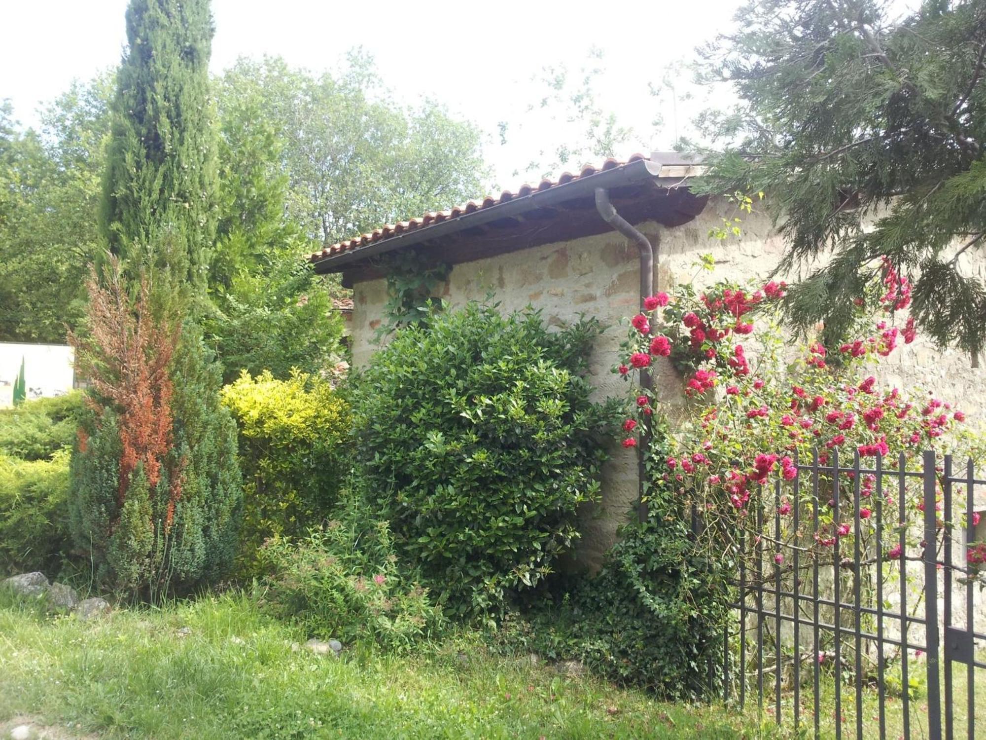 Fattoria Il Praticino - Metato Villa Castelfranco di Sopra Exterior foto